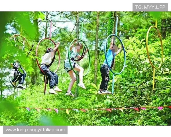 张伟独家揭秘极限运动的乐趣与挑战分享心得与技巧